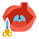 Cleft Lip and Palate